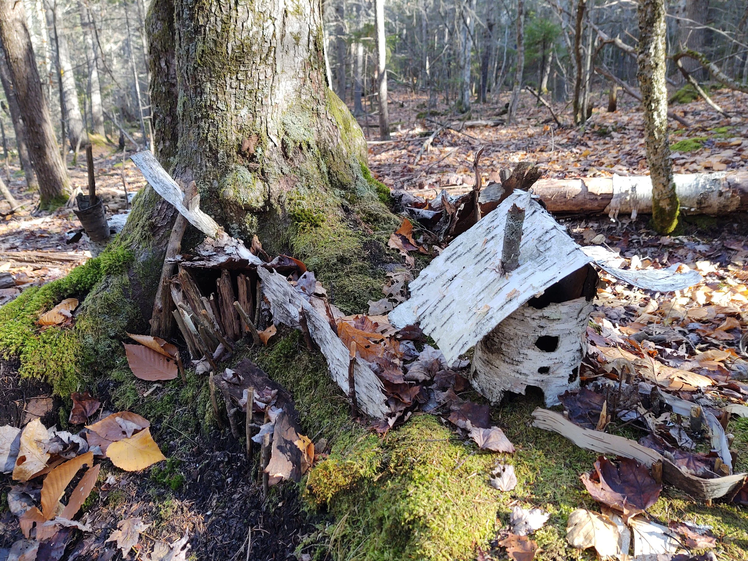 Fairy Houses and Gnome Homes — Presumpscot Regional Land Trust